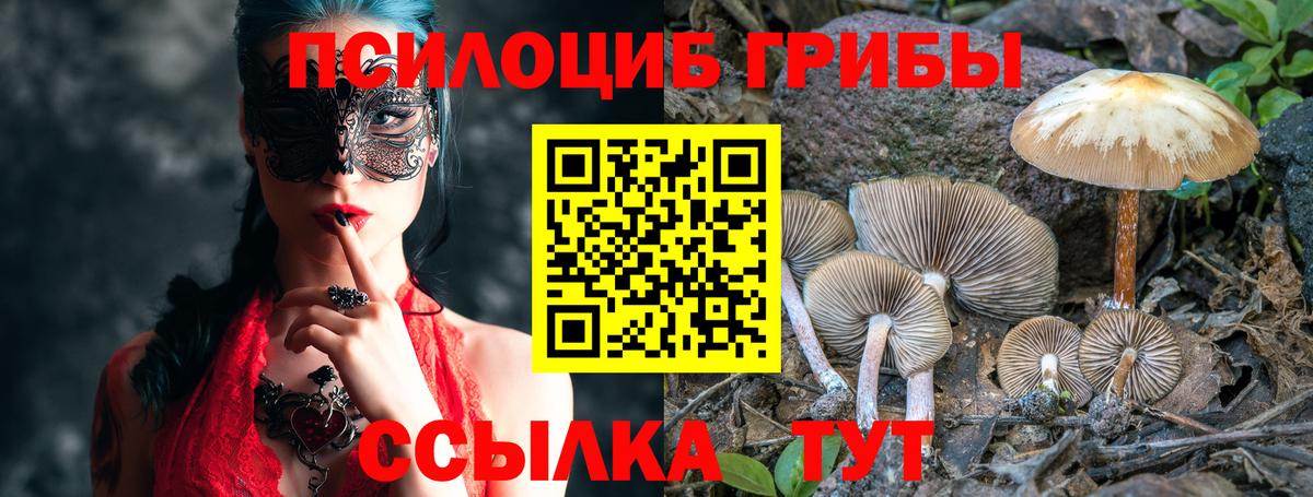 Галлюциногенные грибы Cubensis Прокопьевск