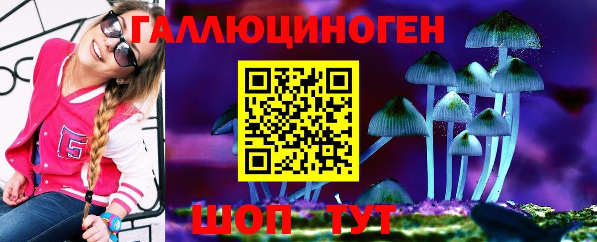 Прокопьевск  Галлюциногенные грибы GOLDEN TEACHER  Вход с VPN 